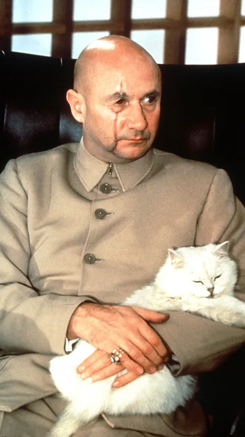 AF archive/Alamy Stock Photo Several Bond villains have worn versions of the Mao suit – most notably Ernst Stavro Blofeld and Bond’s nemesis in the new film, Spectre (Credit: AF archive/Alamy Stock Photo)