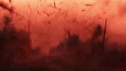 Disney/Lucasfilm Is this the handiwork of the First Order's new superweapon? (Credit: Disney/Lucasfilm)