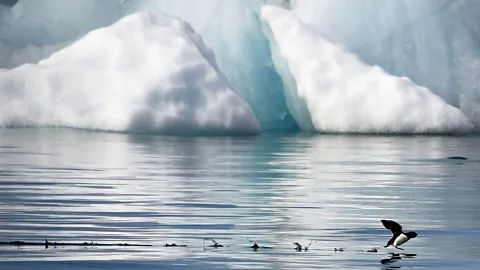 Dominique Faget/Getty Views of Norway that can only seen by pushing the boundaries of travel (Credit: Dominique Faget/Getty)