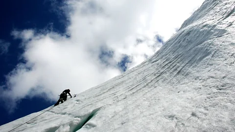 Sandra Behne/Getty Some brains are hardwired to take risks and explore (Credit: Sandra Behne/Getty)