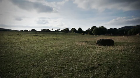 Eleanor Ross Boundary stones like this one both marked the perimeter that villagers could not cross – and became their key to survival (Credit: Eleanor Ross)