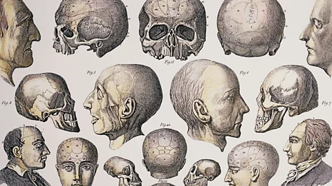 SPL Phrenology was once called the “science of the mind” - we now know it has no basis in fact (Credit: SPL)