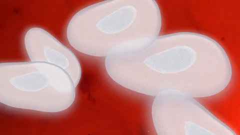 Science Photo Library The immune system remembers past enemies, making colds easier to beat when you get older (Credit: Science Photo Library)