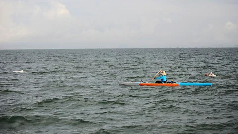 Anthony Kwan Simon Holiday and Shu Pu paddle past a rare white dolphin (Credit: Anthony Kwan)