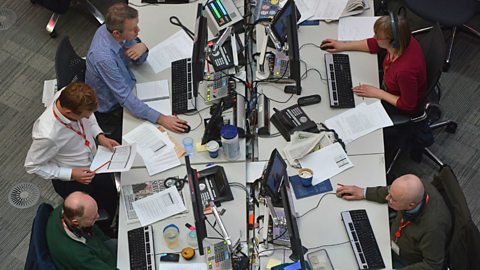 Office workers working at their desks