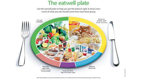 Eating a balanced diet - Diet and nutrition - AQA - GCSE Physical Education  Revision - AQA - BBC Bitesize