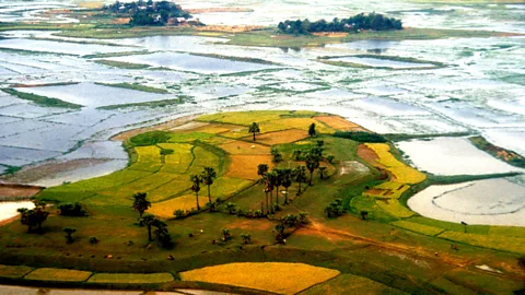 Christine Osborne/Alamy engers can drift past paddy fields in Bangladesh (Credit: Christine Osborne/Alamy)