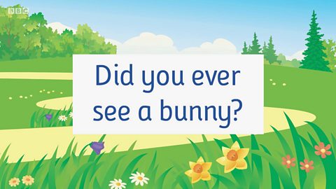 Did you ever see a bunny?