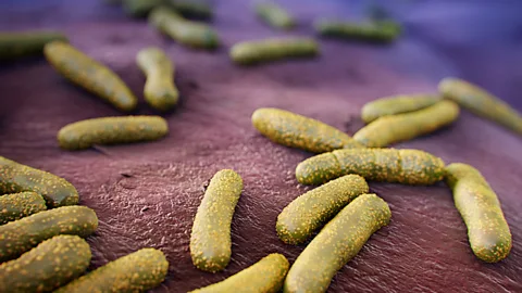 Science Photo Library Some of the helpful bacteria on our skin helps protect us from more harmful bugs (Credit: Science Photo Library)