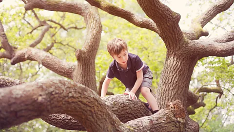 Christopher Hopefitch/Getty Images The book's final glossary is called Childish (Credit: Christopher Hopefitch/Getty Images)