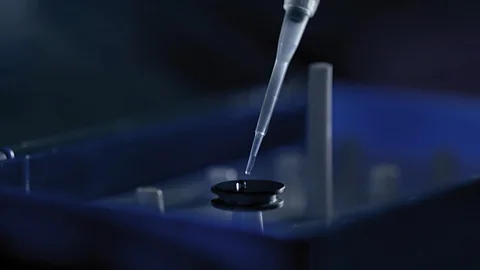 Lonelyleap DNA could be used to make 'synthetic fossils' (Credit: Lonelyleap)