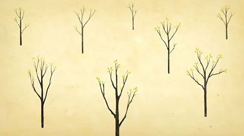 Lucy Izzard Larkin was aware that the emotional uplift of The Trees would make it a popular poem but he later called it ”very corny” (Credit: Lucy Izzard)