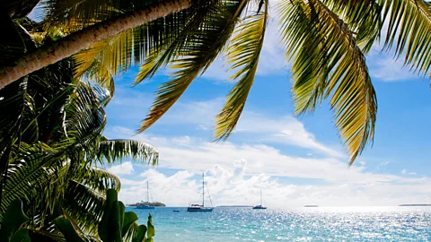 Diane Selkirk Visitors to the Chagos Archipelago are rare (Credit: Diane Selkirk)