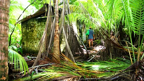 Diane Selkirk Relics of the abandoned island's past (Credit: Diane Selkirk)
