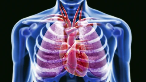 SPL The device uses nanotechnology - but how? Watch the video above to find out (Credit: SPL)