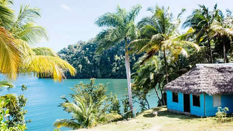 Emerging from the forest, Bahia de Taco, Taco Bay, Baracoa, Cuba