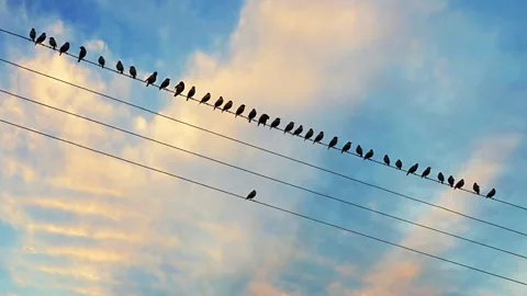 Getty Images It can be lonely when you go your own way (Credit: Getty Images)
