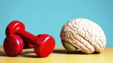 iStock (Credit: iStock)