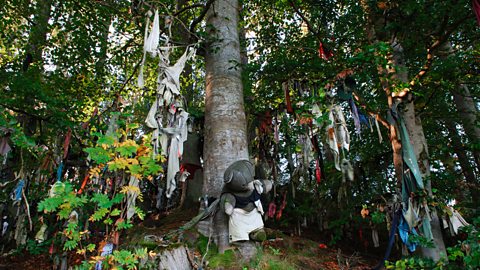 Clootie Well and Woods, Black Isle in Scotland