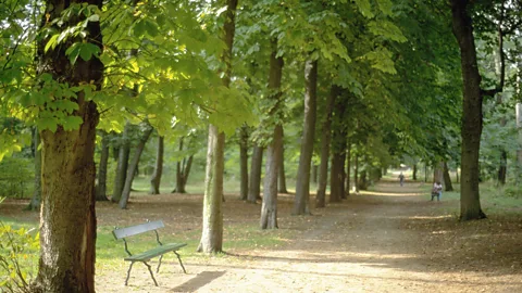 Age fotostock / Alamy Stock Photo Haussmann engineered grand squares, a sewage system and city parks like the Bois de Boulogne (Credit: Age fotostock / Alamy Stock Photo)