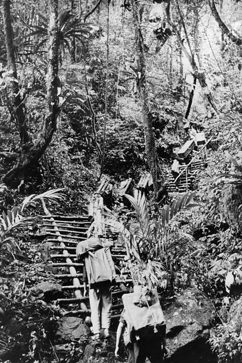 Several figures carrying Vietnam War supplies through the jungle in North Vietnam