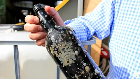 Chris Baraniuk One of the artefacts recovered from the Connaught wreck site (Credit: Chris Baraniuk)