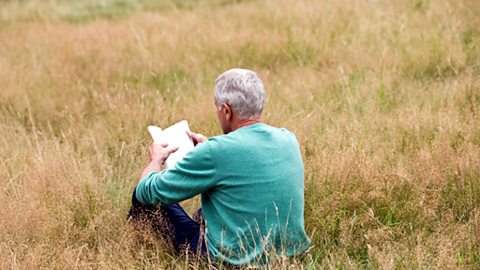 A man reading a book in a meadow