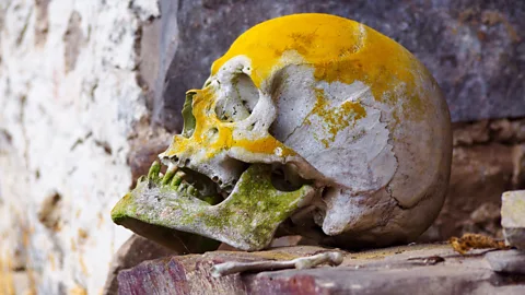 Krista Eleftheriou Thousands of corpses are thought to remain (Credit: Krista Eleftheriou)