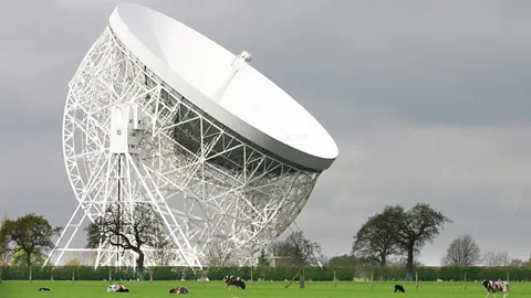 Getty Images Jodrell Bank is a famous radio telescope in Britain which, among other things, has studied pulsars - rotating stars which emit a radio signal (Credit: Getty Images)
