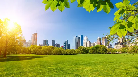 Alamy Even something as simple as a walk in a park on a sunny day can help combat jet lag (Credit: Alamy)
