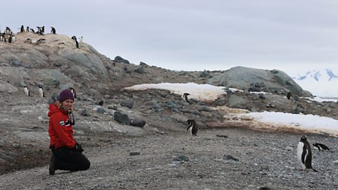 Why is Antarctica so important in measuring climate change?