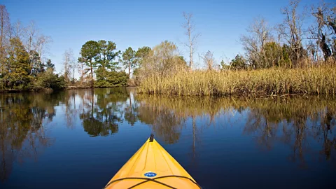 Marianne Lee/Alamy Stock Photo Kayaking through South Carolina’s rice patties (Credit: Marianne Lee/Alamy Stock Photo)