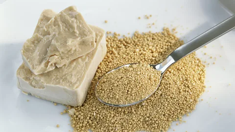 Getty Images Some of the yeast kept on ice by White Labs is older than the company (Credit: Getty Images)