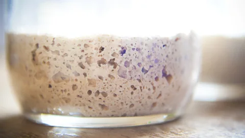 Getty Images As yeasts feed and multiply, they also mutate from their original form (Credit: Getty Images)