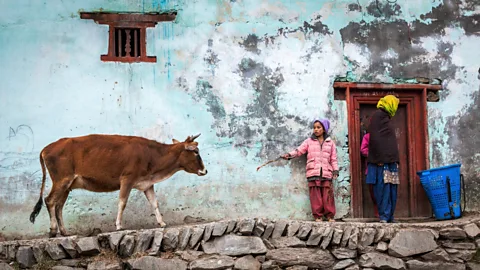 Himanshu Khagta One encounters different villages along the Pangi via Kishtwar road (Credit: Himanshu Khagta)