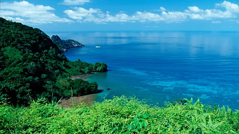 Reinhard Dirscherl/Alamy Laurel and Joerg first met on a shark diving trip off the coast the Cocos Island near Costa Rica (Credit: Reinhard Dirscherl/Alamy)