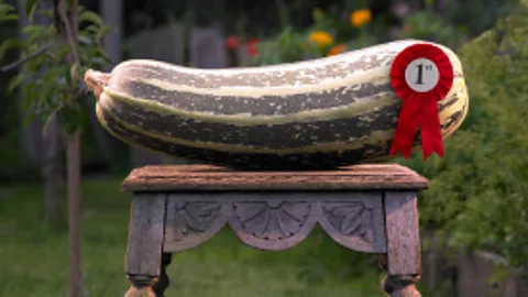 Getty Images The key to winning can be found in answering three questions. (Credit: Getty Images)