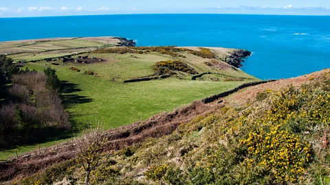 Amanda Ruggeri The view from Bardsey's "mountain" northwest across the Irish Sea (Credit: Amanda Ruggeri)