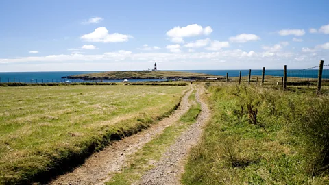 Ian Nellist/Alamy Bardsey Island lacks paved roads, indoor toilets and even an electric grid (Credit: Ian Nellist/Alamy)