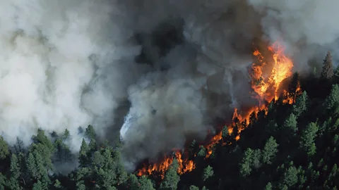 Getty Images Fires in remote forested areas are often very difficult to control (Credit: Getty Images)