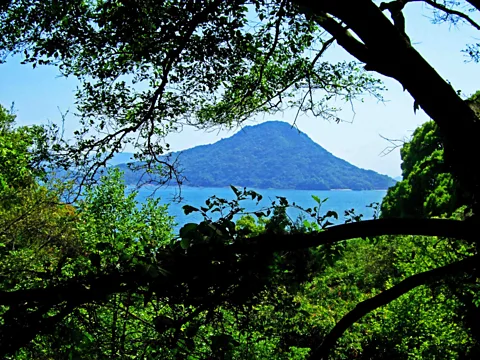 Angeles Marin Cabello Japan’s Ninoshima Island in Hiroshima Bay (Credit: Angeles Marin Cabello)