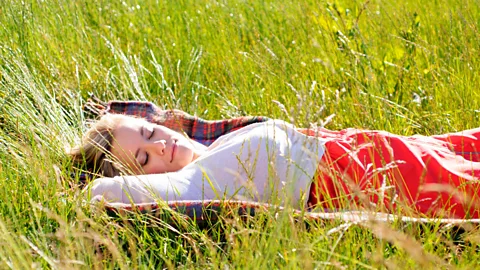 Top view of man lying down on grass with laptop Stock Photo - Alamy