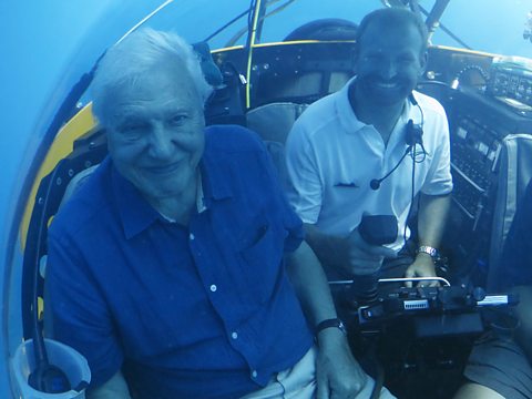 Sir David undertaking his record-breaking dive on the reef.