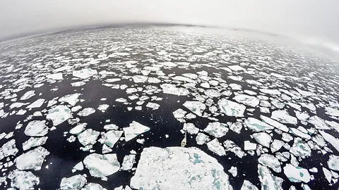 Daniel Hug A drone photo shows just how far into the pack ice the Barba – pictured in the lower centre – sailed. (Credit: Daniel Hug)