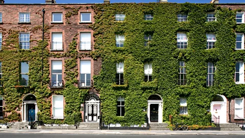 Gareth Byrne/Alamy Old-fashioned Georgian houses in Fitzwilliam Square (Credit: Gareth Byrne/Alamy)