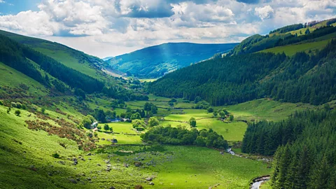 Peter Zelei/Getty The history of Ireland inspires modern-day storytellers (Credit: Peter Zelei/Getty)
