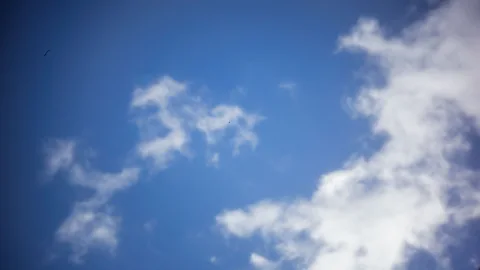 Olivia Howitt Therapy has helped some people to build a new rapport with the voices they hear (Credit: Olivia Howitt)