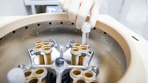 SPL Samples are preserved in a sperm bank (Credit: SPL)