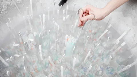 SPL We still can’t decide on what sperm are or are not, so policies on post-mortem sperm extraction and storage differ between hospitals (Credit: SPL)