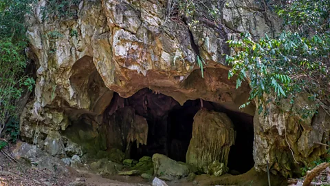Kit Yeng Chan The entrance of Gua Harimau, a hidden cavern in the Malaysian jungle (Credit: Kit Yeng Chan)